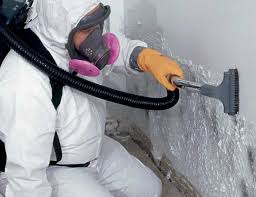 Best Emergency Mold Remediation in Reynoldsburg, OH